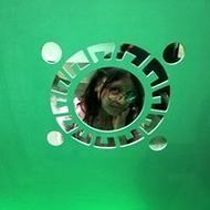 leida