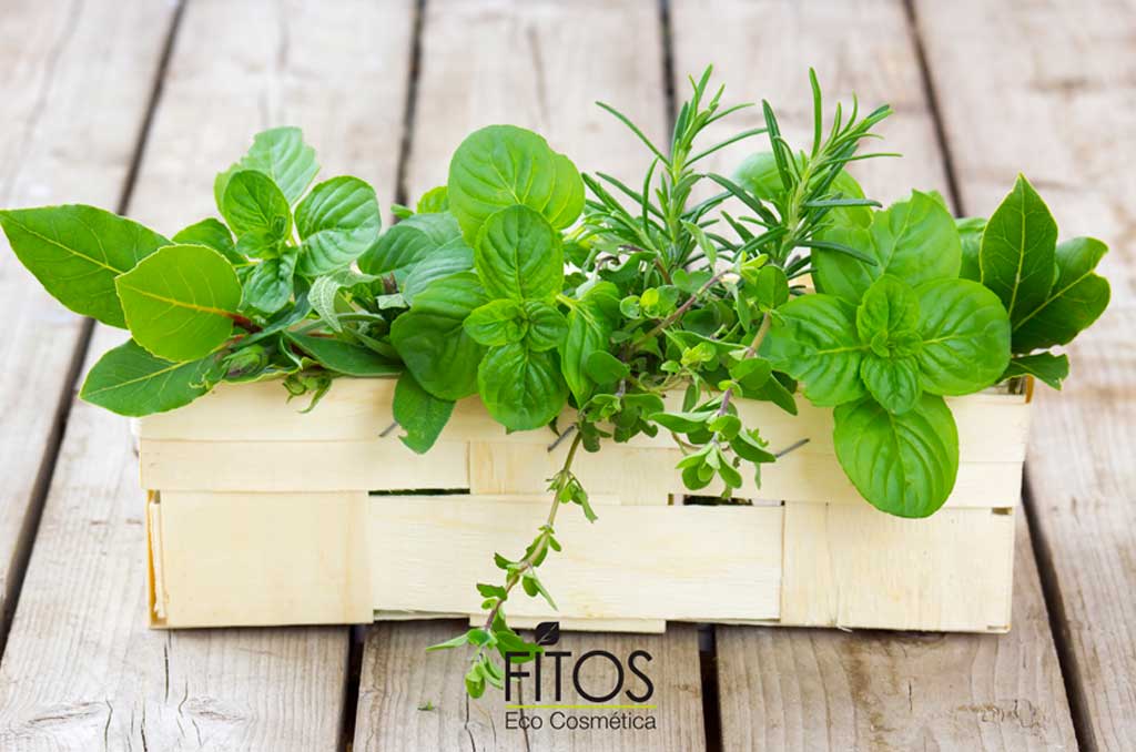 Fitos